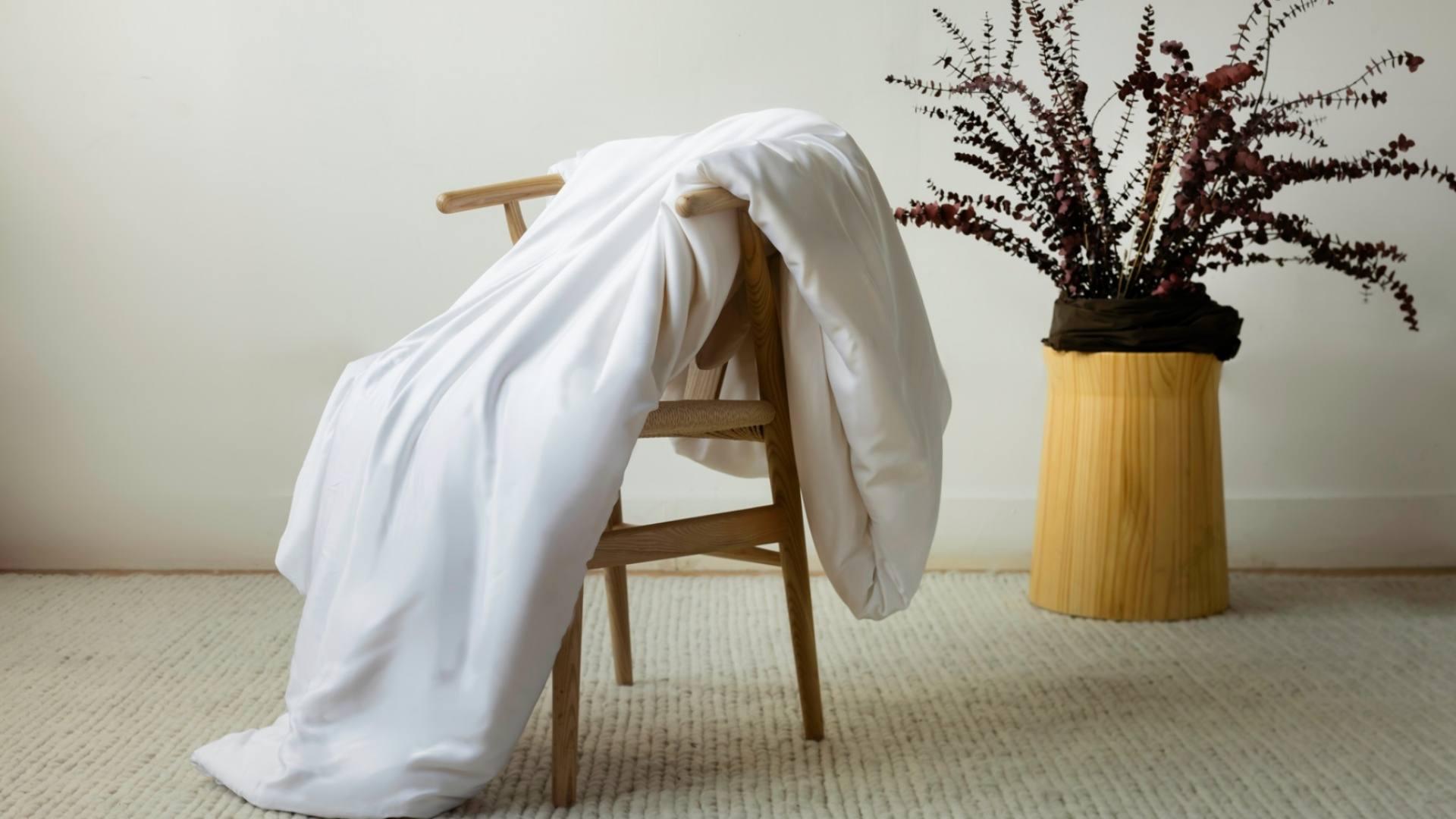 A soft, cozy white comforter is draped over a wooden chair. There is a big plant behind it.